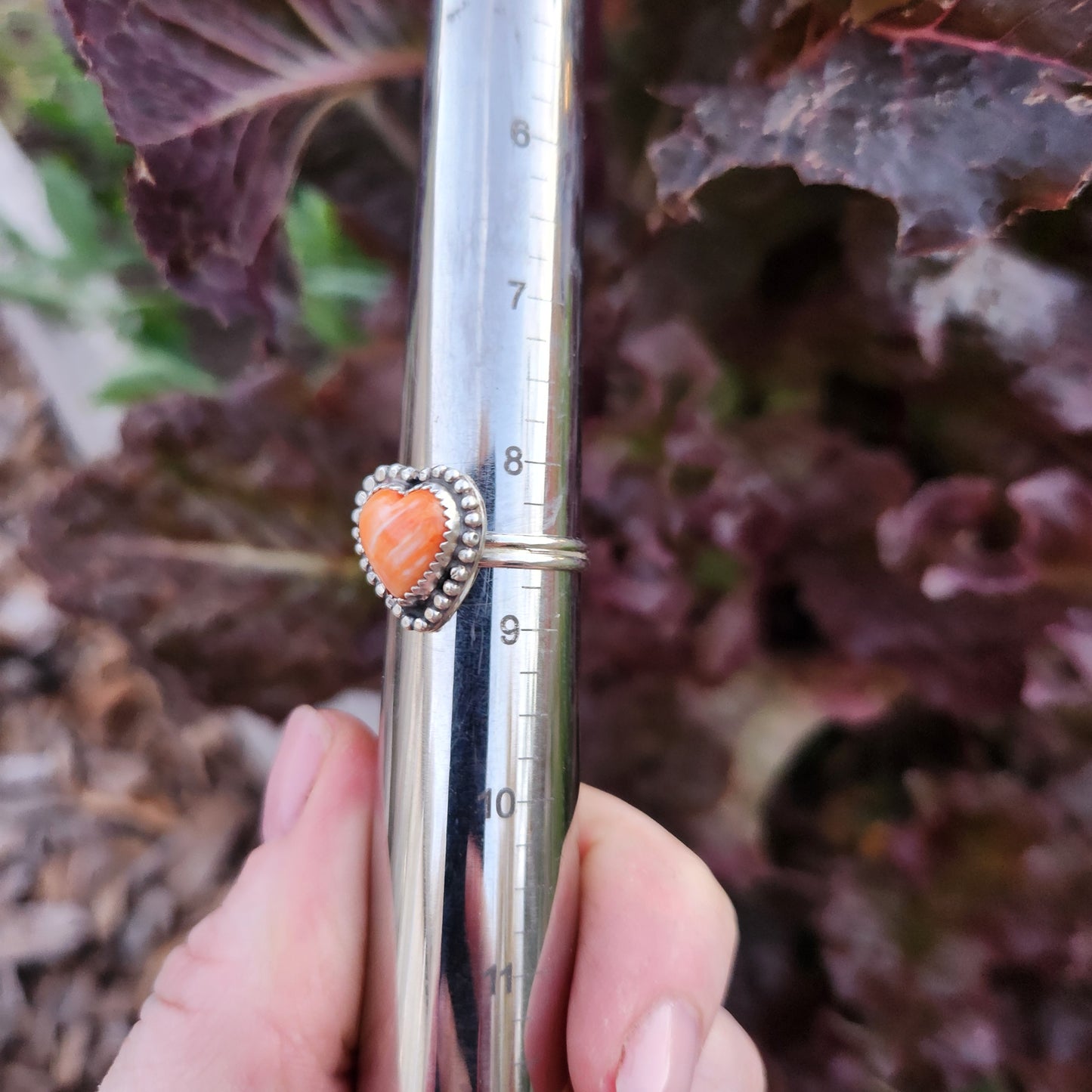 Spiny Oyster Heart Ring SZ 8.5