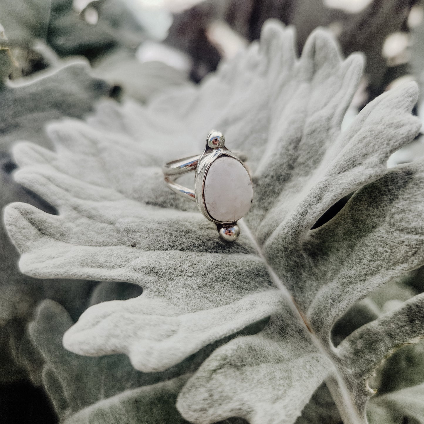 White Buffalo Ring SZ 6