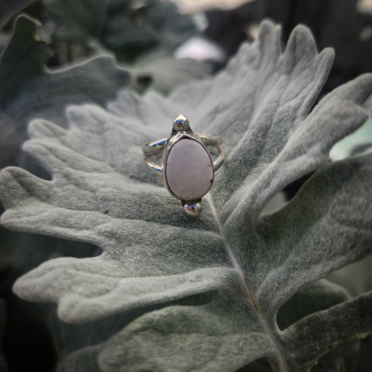 White Buffalo Ring SZ 6